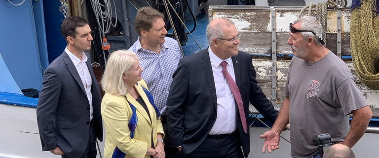 Government funding package for bait prawn fishers caught in SEQld White Spot zone
