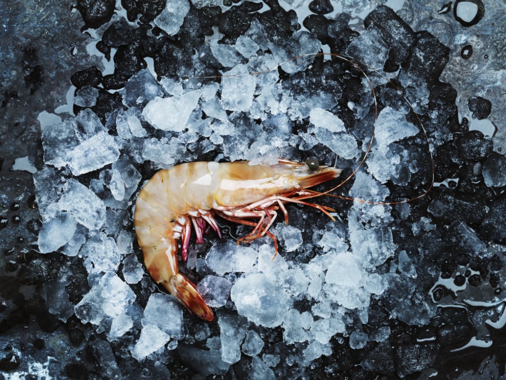 Grooved Tiger Prawns