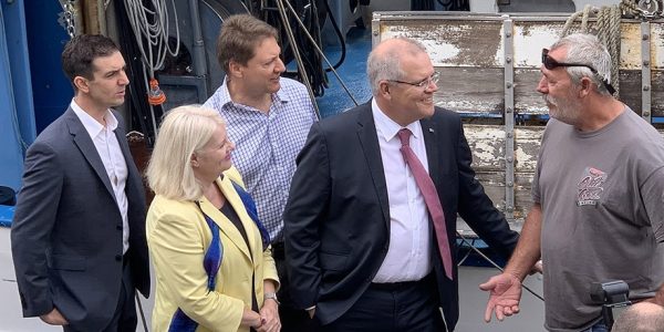 Government funding package for bait prawn fishers caught in SEQld White Spot zone