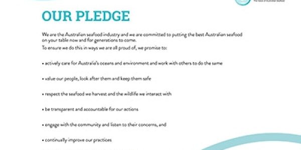 our pledge